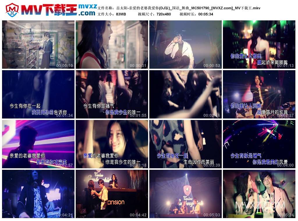 岳太阳-亲爱的老婆我爱你(DJ版)_国语_舞曲_MC501790